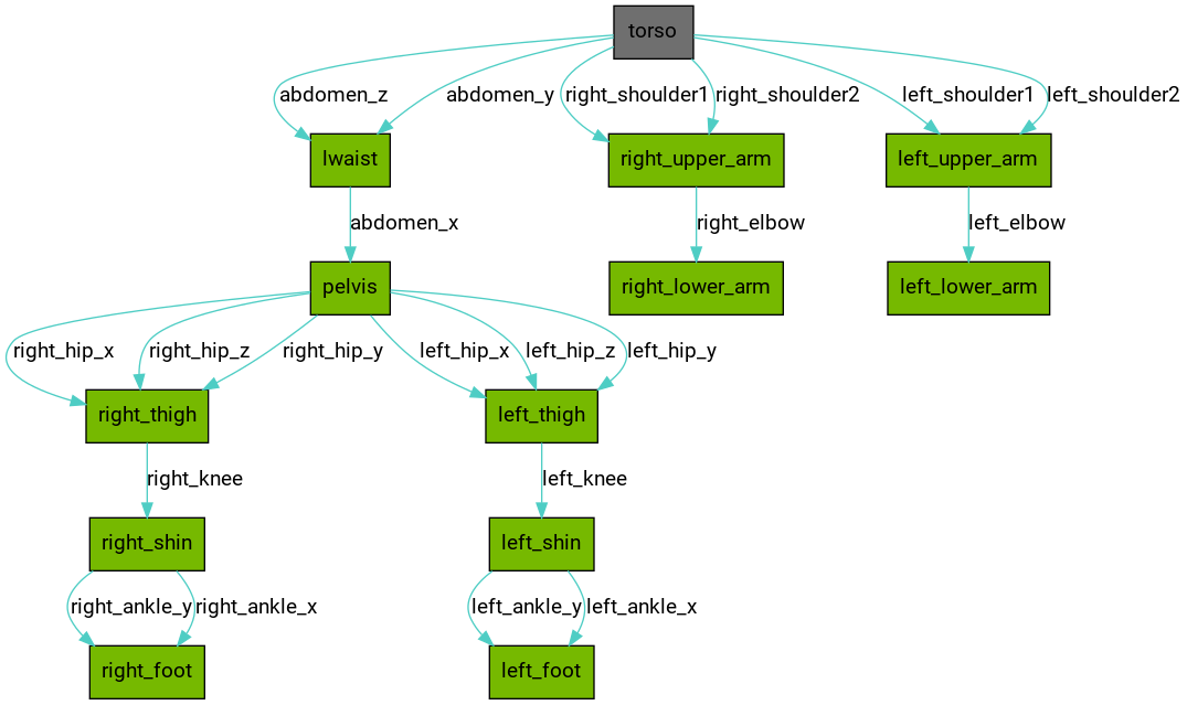 digraph {
graph [aspect=1 concentrate=true ordering=out ratio=compress ];
node [ fontname=Roboto ];
edge [ fontname=Roboto ];
torso [shape="polygon" style="filled" fillcolor="#6F6F6F"]
lwaist [shape="polygon" style="filled" fillcolor="#76b900"]
pelvis [shape="polygon" style="filled" fillcolor="#76b900"]
right_thigh [shape="polygon" style="filled" fillcolor="#76b900"]
right_shin [shape="polygon" style="filled" fillcolor="#76b900"]
right_foot [shape="polygon" style="filled" fillcolor="#76b900"]
left_thigh [shape="polygon" style="filled" fillcolor="#76b900"]
left_shin [shape="polygon" style="filled" fillcolor="#76b900"]
left_foot [shape="polygon" style="filled" fillcolor="#76b900"]
right_upper_arm [shape="polygon" style="filled" fillcolor="#76b900"]
right_lower_arm [shape="polygon" style="filled" fillcolor="#76b900"]
left_upper_arm [shape="polygon" style="filled" fillcolor="#76b900"]
left_lower_arm [shape="polygon" style="filled" fillcolor="#76b900"]
torso -> lwaist [label="abdomen_z" fillcolor="#4ECDC4" color="#4ECDC4"]
torso -> lwaist [label="abdomen_y" fillcolor="#4ECDC4" color="#4ECDC4"]
lwaist -> pelvis [label="abdomen_x" fillcolor="#4ECDC4" color="#4ECDC4"]
pelvis -> right_thigh [label="right_hip_x" fillcolor="#4ECDC4" color="#4ECDC4"]
pelvis -> right_thigh [label="right_hip_z" fillcolor="#4ECDC4" color="#4ECDC4"]
pelvis -> right_thigh [label="right_hip_y" fillcolor="#4ECDC4" color="#4ECDC4"]
right_thigh -> right_shin [label="right_knee" fillcolor="#4ECDC4" color="#4ECDC4"]
right_shin -> right_foot [label="right_ankle_y" fillcolor="#4ECDC4" color="#4ECDC4"]
right_shin -> right_foot [label="right_ankle_x" fillcolor="#4ECDC4" color="#4ECDC4"]
pelvis -> left_thigh [label="left_hip_x" fillcolor="#4ECDC4" color="#4ECDC4"]
pelvis -> left_thigh [label="left_hip_z" fillcolor="#4ECDC4" color="#4ECDC4"]
pelvis -> left_thigh [label="left_hip_y" fillcolor="#4ECDC4" color="#4ECDC4"]
left_thigh -> left_shin [label="left_knee" fillcolor="#4ECDC4" color="#4ECDC4"]
left_shin -> left_foot [label="left_ankle_y" fillcolor="#4ECDC4" color="#4ECDC4"]
left_shin -> left_foot [label="left_ankle_x" fillcolor="#4ECDC4" color="#4ECDC4"]
torso -> right_upper_arm [label="right_shoulder1" fillcolor="#4ECDC4" color="#4ECDC4"]
torso -> right_upper_arm [label="right_shoulder2" fillcolor="#4ECDC4" color="#4ECDC4"]
right_upper_arm -> right_lower_arm [label="right_elbow" fillcolor="#4ECDC4" color="#4ECDC4"]
torso -> left_upper_arm [label="left_shoulder1" fillcolor="#4ECDC4" color="#4ECDC4"]
torso -> left_upper_arm [label="left_shoulder2" fillcolor="#4ECDC4" color="#4ECDC4"]
left_upper_arm -> left_lower_arm [label="left_elbow" fillcolor="#4ECDC4" color="#4ECDC4"]
}