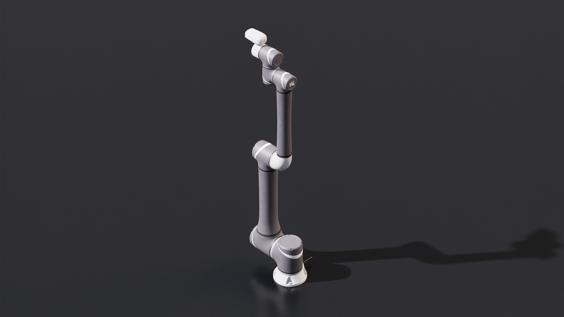 TM12 Robot